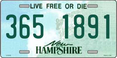 NH license plate 3651891