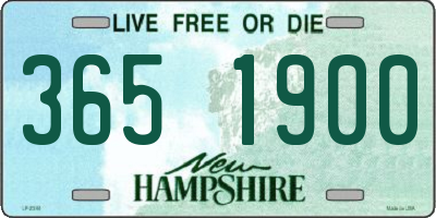 NH license plate 3651900