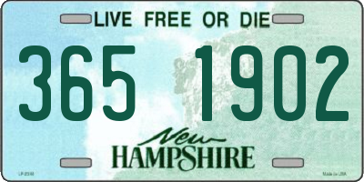 NH license plate 3651902