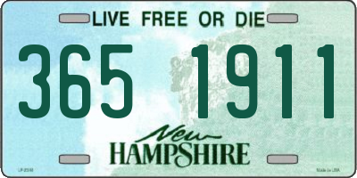 NH license plate 3651911