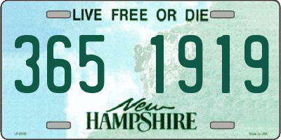 NH license plate 3651919