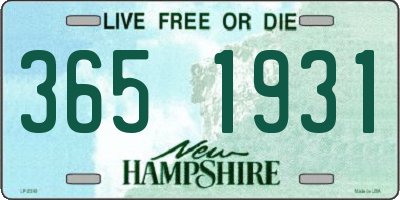 NH license plate 3651931