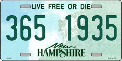 NH license plate 3651935