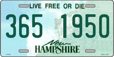 NH license plate 3651950