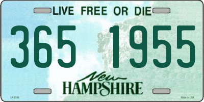NH license plate 3651955