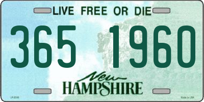 NH license plate 3651960