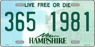 NH license plate 3651981