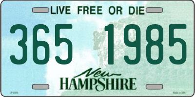 NH license plate 3651985