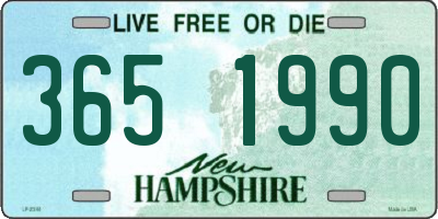 NH license plate 3651990