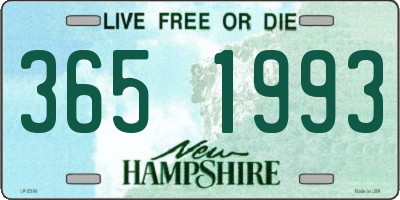 NH license plate 3651993