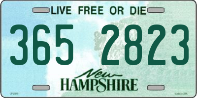 NH license plate 3652823