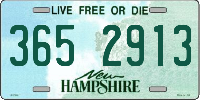 NH license plate 3652913