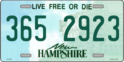 NH license plate 3652923