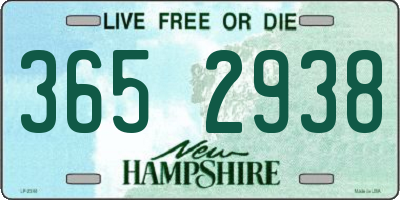 NH license plate 3652938