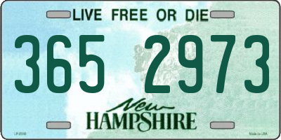 NH license plate 3652973