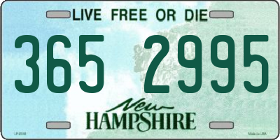 NH license plate 3652995