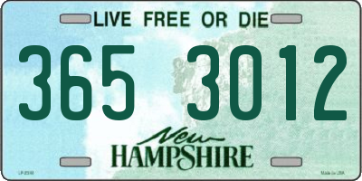 NH license plate 3653012