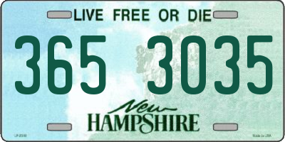 NH license plate 3653035