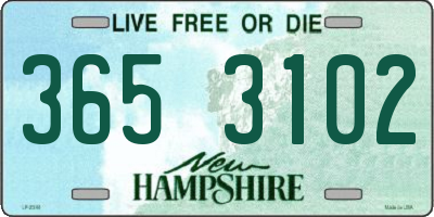 NH license plate 3653102
