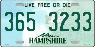 NH license plate 3653233