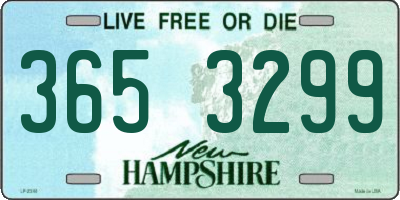 NH license plate 3653299