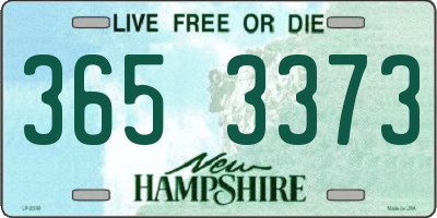 NH license plate 3653373