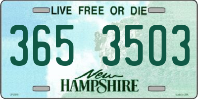 NH license plate 3653503