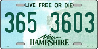 NH license plate 3653603