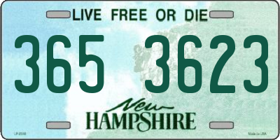 NH license plate 3653623