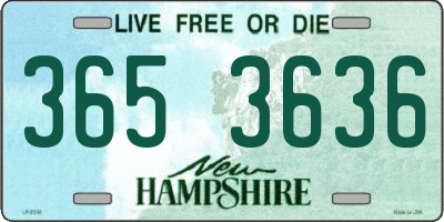 NH license plate 3653636