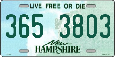 NH license plate 3653803