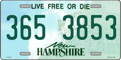 NH license plate 3653853