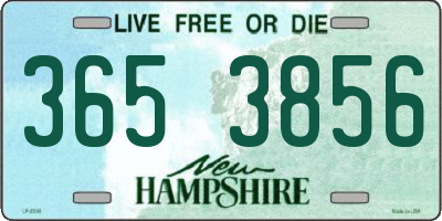 NH license plate 3653856