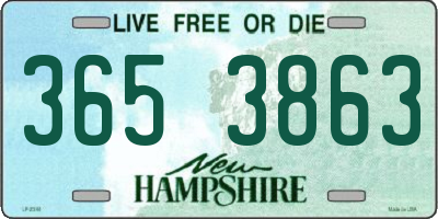 NH license plate 3653863