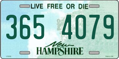 NH license plate 3654079