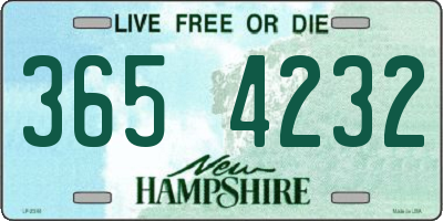 NH license plate 3654232