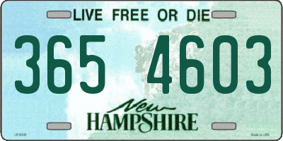 NH license plate 3654603