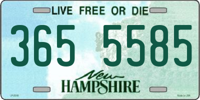 NH license plate 3655585