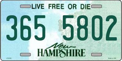 NH license plate 3655802