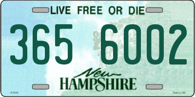 NH license plate 3656002
