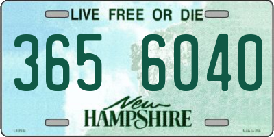 NH license plate 3656040