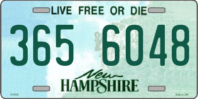 NH license plate 3656048