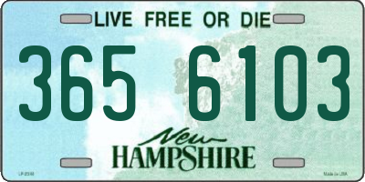 NH license plate 3656103