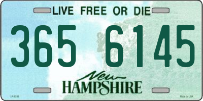 NH license plate 3656145
