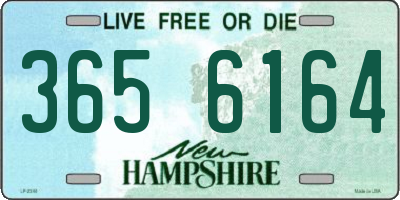 NH license plate 3656164