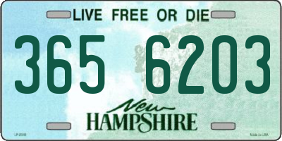 NH license plate 3656203