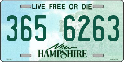 NH license plate 3656263