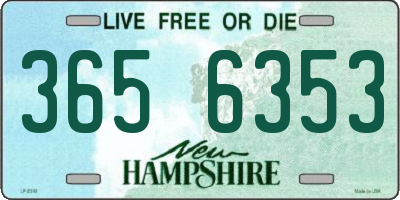 NH license plate 3656353