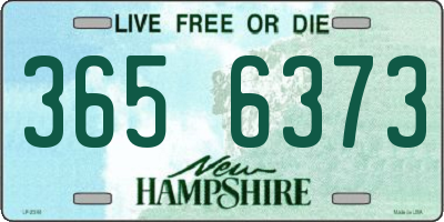 NH license plate 3656373