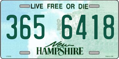 NH license plate 3656418